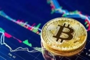 What is the Bitcoin Price Today?
