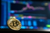 The Impact of ETFs on Bitcoin: Will the Carnage Ever End?